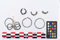 Foto von Bronzering (NHMW-PRAE-002313)